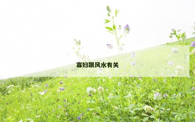 寡妇跟风水有关