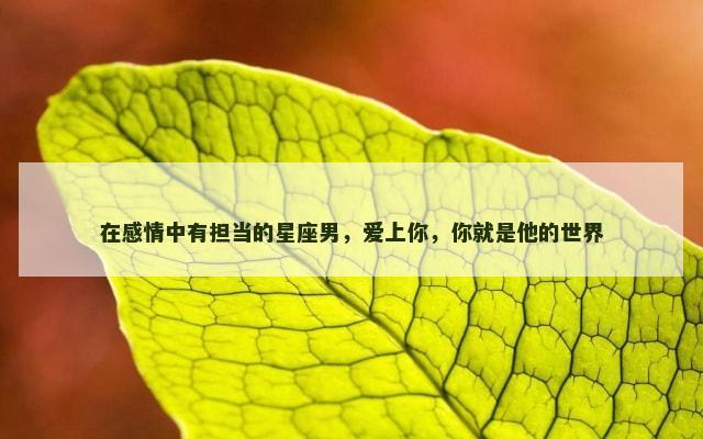 在感情中有担当的星座男，爱上你，你就是他的世界