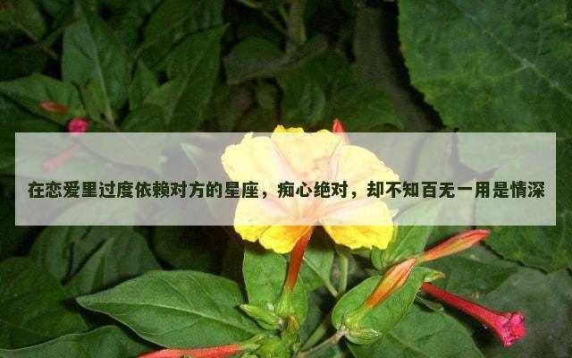 在恋爱里过度依赖对方的星座，痴心绝对，却不知百无一用是情深