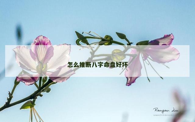 怎么推断八字命盘好坏