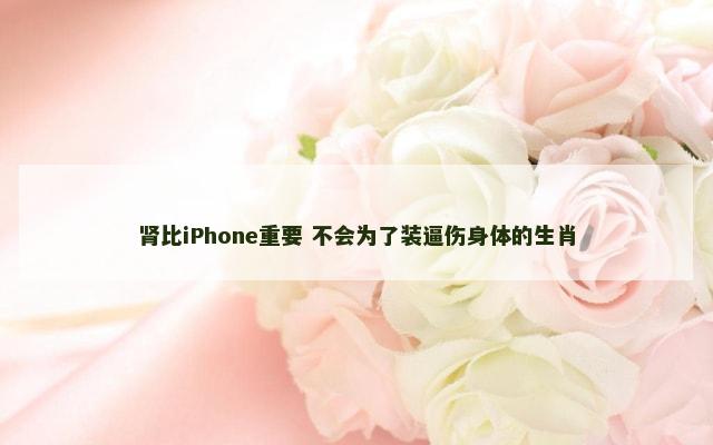肾比iPhone重要 不会为了装逼伤身体的生肖