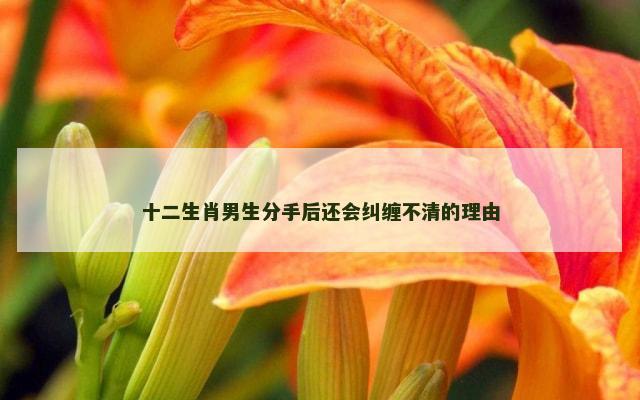 十二生肖男生分手后还会纠缠不清的理由