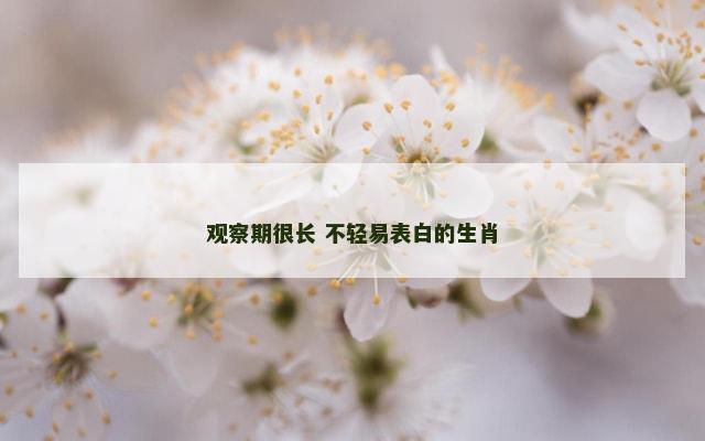 观察期很长 不轻易表白的生肖