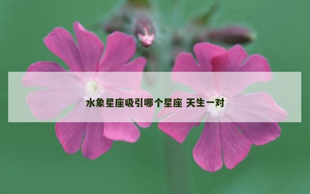 水象星座吸引哪个星座 天生一对