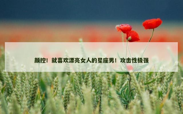 颜控！就喜欢漂亮女人的星座男！攻击性极强