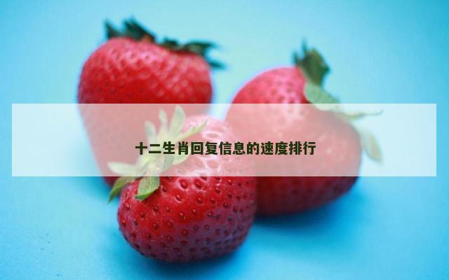 十二生肖回复信息的速度排行