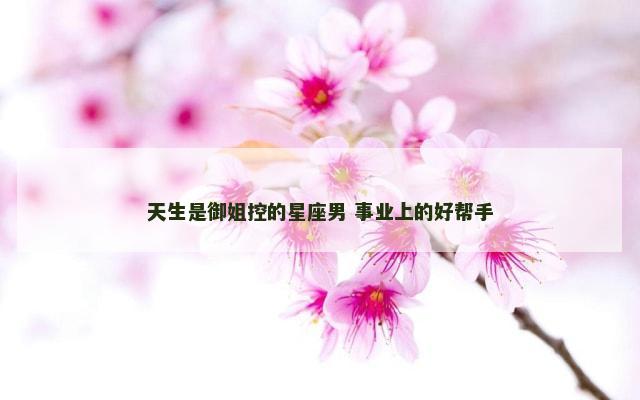 天生是御姐控的星座男 事业上的好帮手