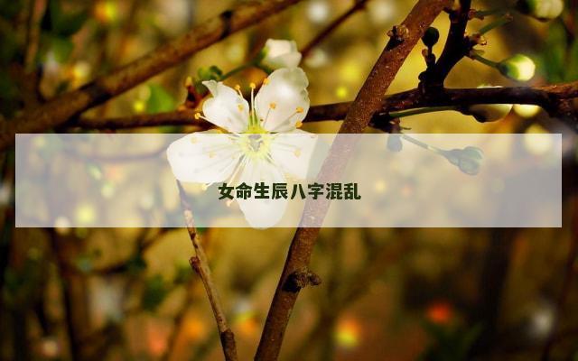女命生辰八字混乱