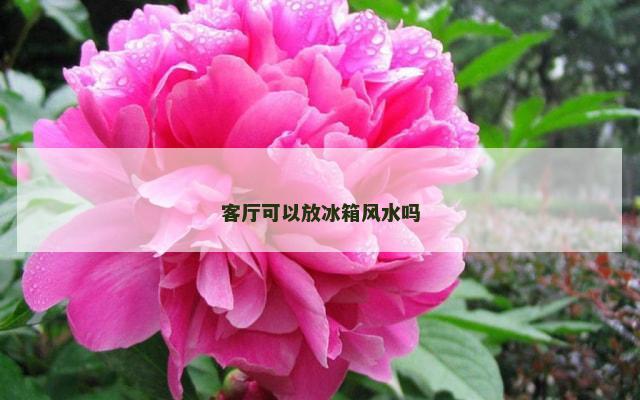 客厅可以放冰箱风水吗