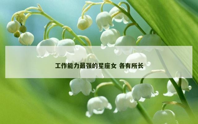 工作能力最强的星座女 各有所长