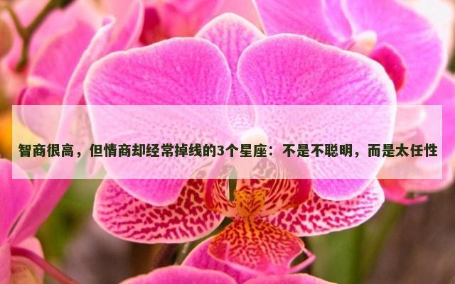 智商很高，但情商却经常掉线的3个星座：不是不聪明，而是太任性