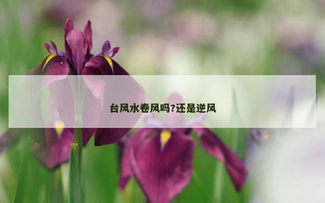 台风水卷风吗?还是逆风