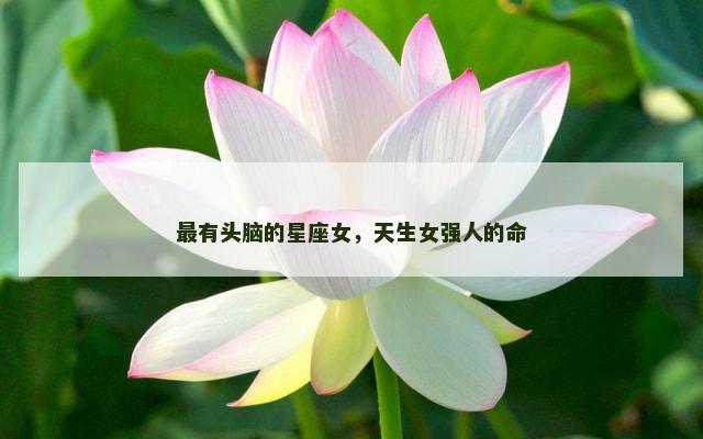 最有头脑的星座女，天生女强人的命
