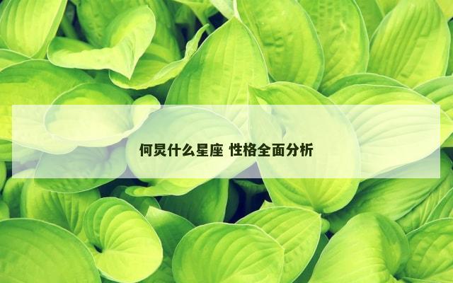 何炅什么星座 性格全面分析