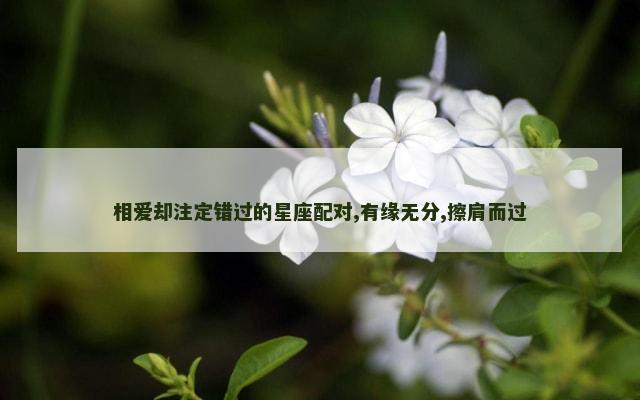 相爱却注定错过的星座配对,有缘无分,擦肩而过