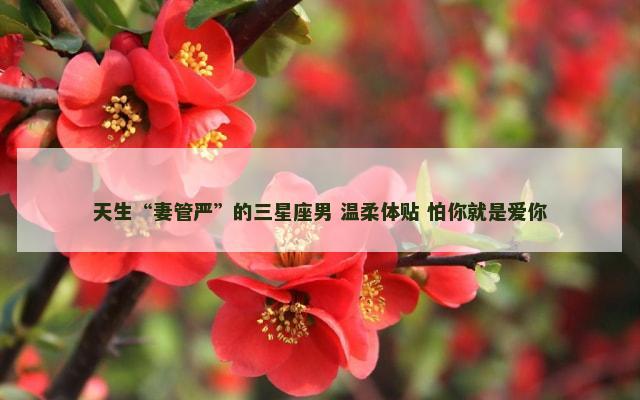 天生“妻管严”的三星座男 温柔体贴 怕你就是爱你