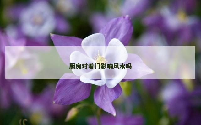 厨房对着门影响风水吗