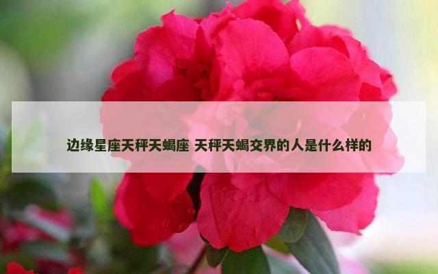 边缘星座天秤天蝎座 天秤天蝎交界的人是什么样的