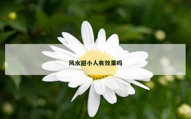 风水避小人有效果吗