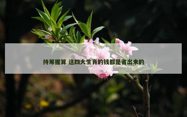 持筹握算 这四大生肖的钱都是省出来的
