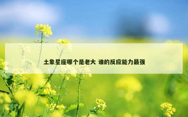 土象星座哪个是老大 谁的反应能力最强