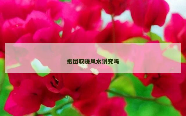 抱团取暖风水讲究吗