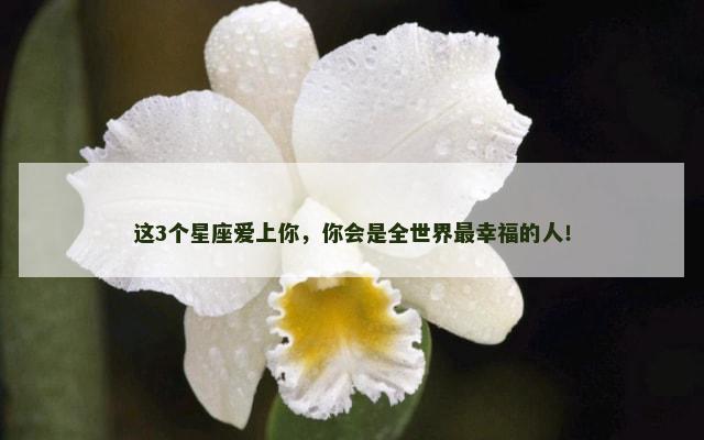 这3个星座爱上你，你会是全世界最幸福的人！