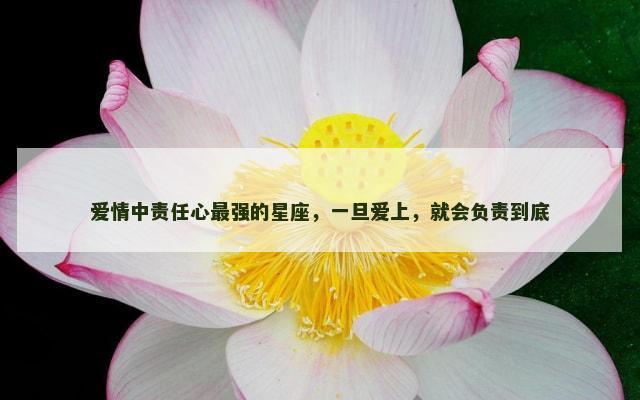 爱情中责任心最强的星座，一旦爱上，就会负责到底