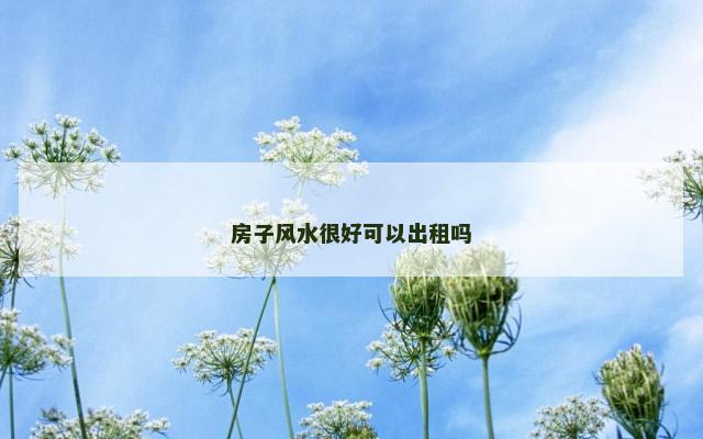 房子风水很好可以出租吗