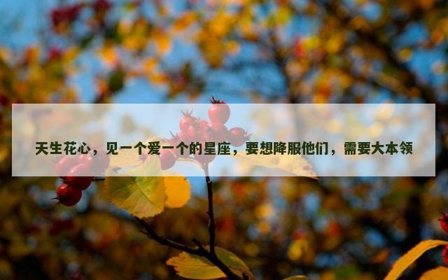 天生花心，见一个爱一个的星座，要想降服他们，需要大本领