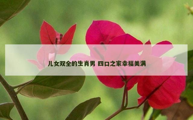儿女双全的生肖男 四口之家幸福美满