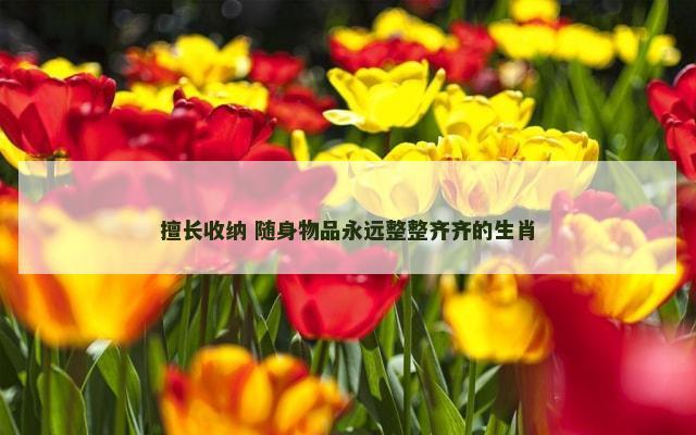 擅长收纳 随身物品永远整整齐齐的生肖