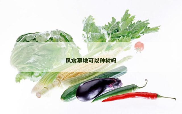 风水墓地可以种树吗