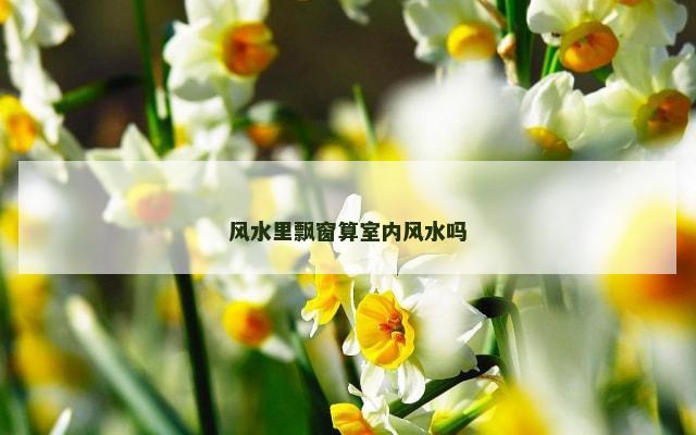 风水里飘窗算室内风水吗