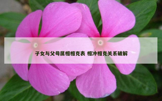 子女与父母属相相克表 相冲相克关系破解