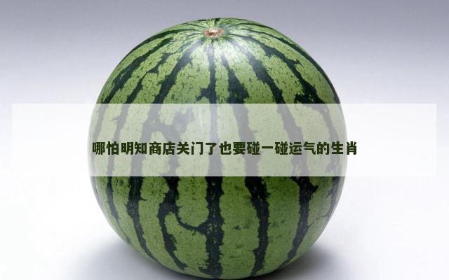 哪怕明知商店关门了也要碰一碰运气的生肖