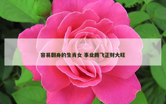 容易翻身的生肖女 事业腾飞正财大旺