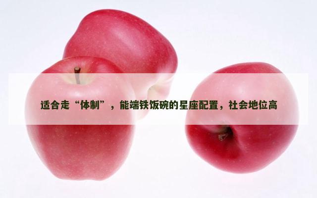 适合走“体制”，能端铁饭碗的星座配置，社会地位高