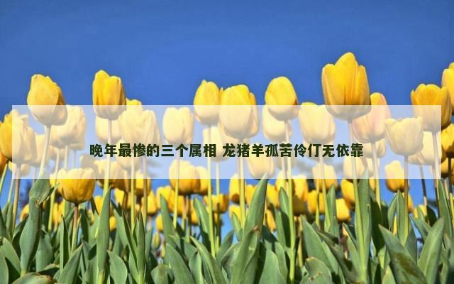 晚年最惨的三个属相 龙猪羊孤苦伶仃无依靠