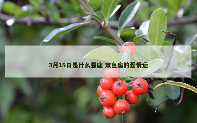 3月15日是什么星座 双鱼座的爱情运