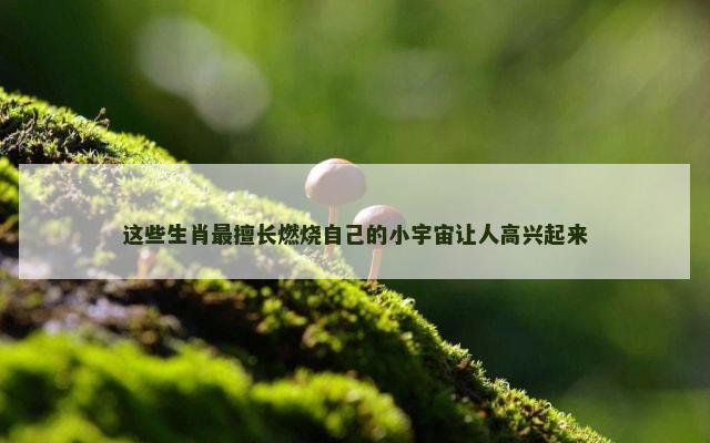 这些生肖最擅长燃烧自己的小宇宙让人高兴起来