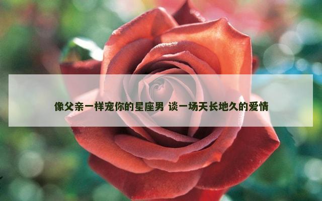 像父亲一样宠你的星座男 谈一场天长地久的爱情