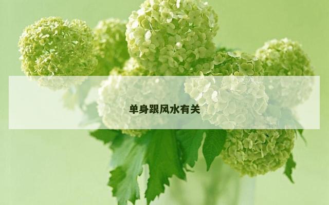 单身跟风水有关