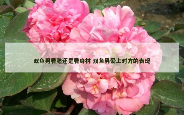 双鱼男看脸还是看身材 双鱼男爱上对方的表现