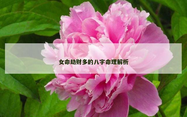 女命劫财多的八字命理解析