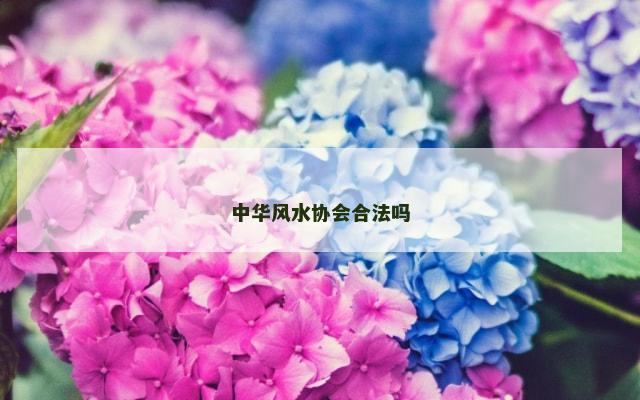 中华风水协会合法吗