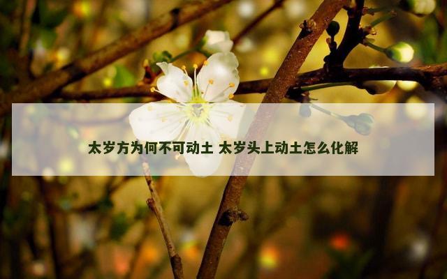 太岁方为何不可动土 太岁头上动土怎么化解