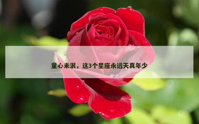 童心未泯，这3个星座永远天真年少