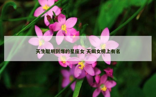 天生聪明到爆的星座女 天蝎女榜上有名