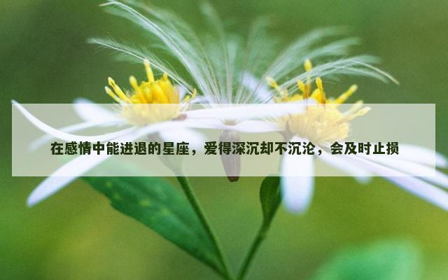 在感情中能进退的星座，爱得深沉却不沉沦，会及时止损